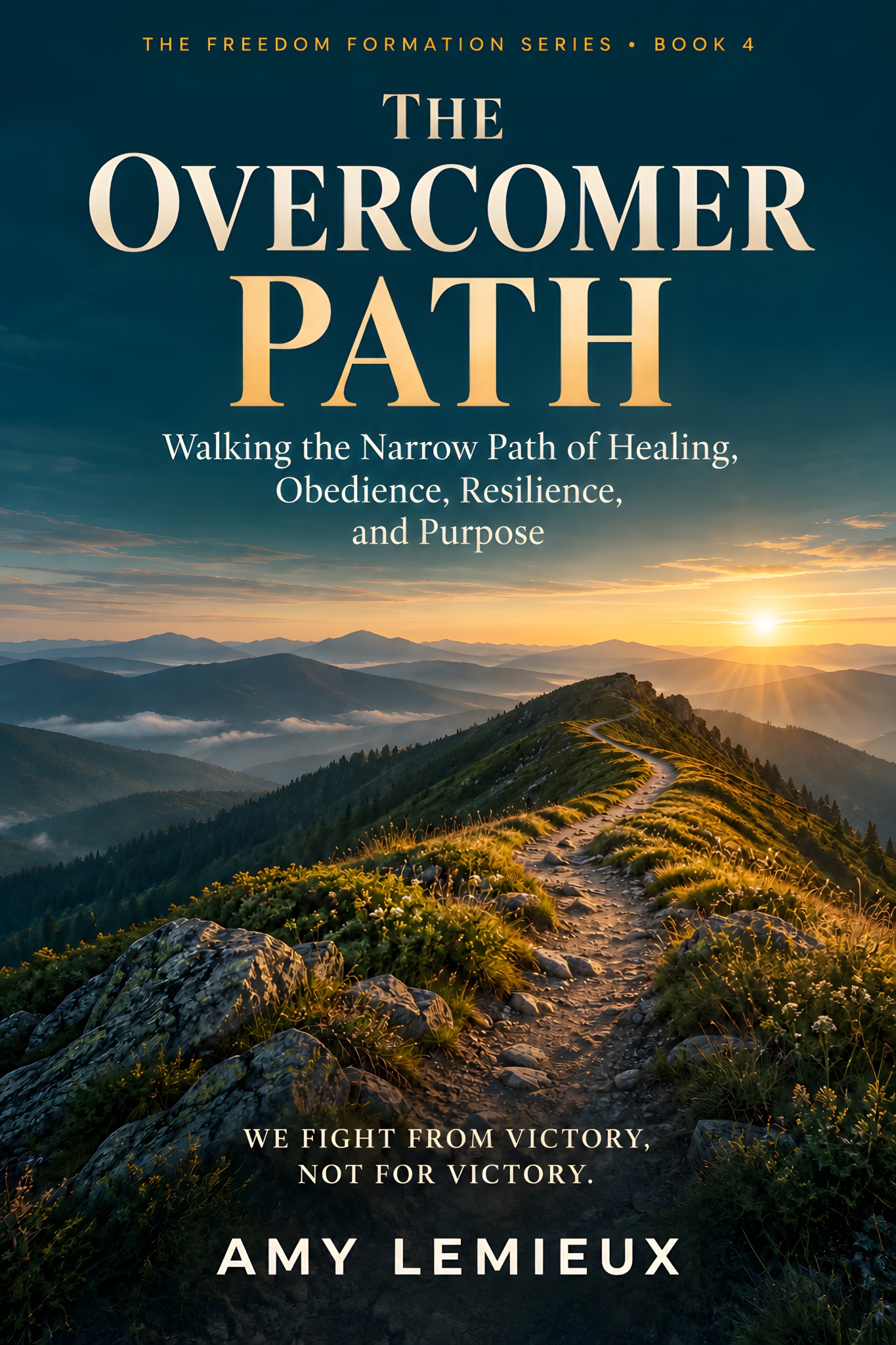 The Overcomer Path book cover